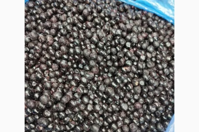 Чорниця заморожена Б- клас- фото № 1