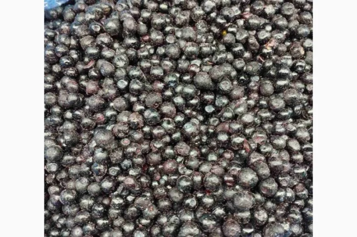 Чорниця заморожена Б- клас- фото № 2