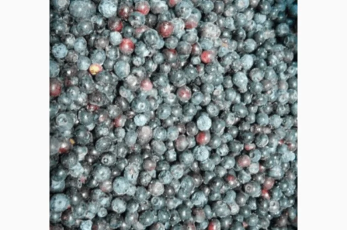 Куплю чорницю морожену по західній Україні, від 20т- фото № 1