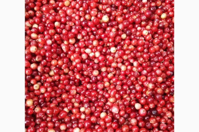 Продам чорницю морожену 2023 року- фото № 1