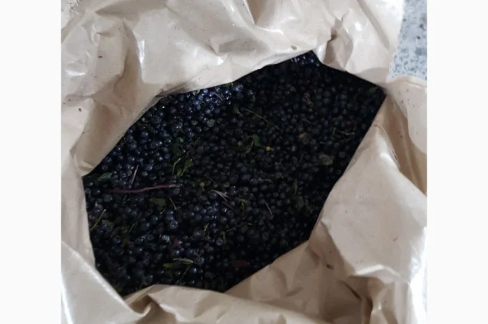 Продам чорницю морожену 2023 року- фото № 3
