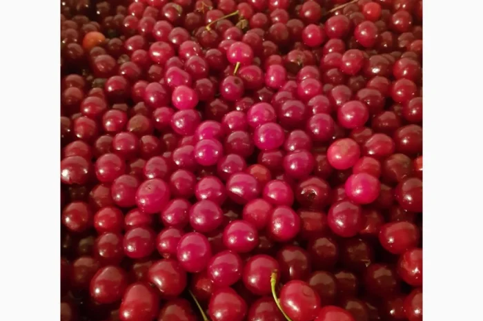 Продам чорницю морожену 2023 року- фото № 4