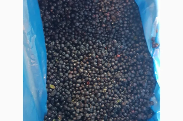 Продам чорницю морожену 2023 року- фото № 5