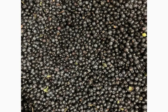 Продам чорницю заморожену- фото № 5