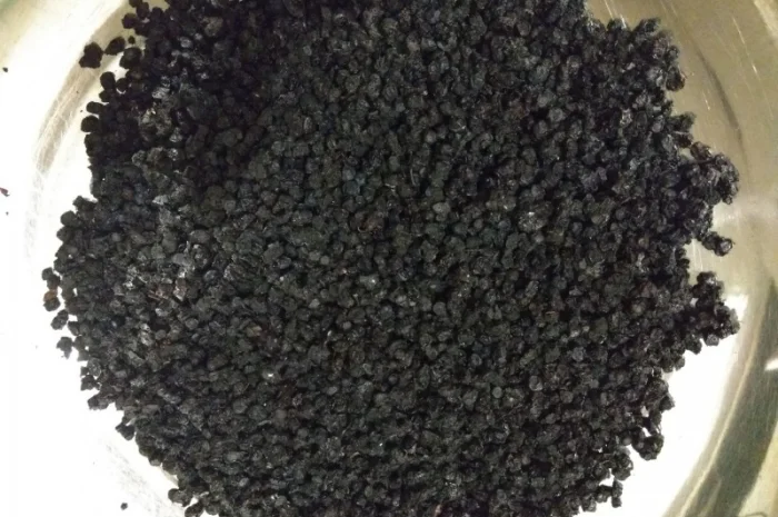 Черника сушеная- фото № 1