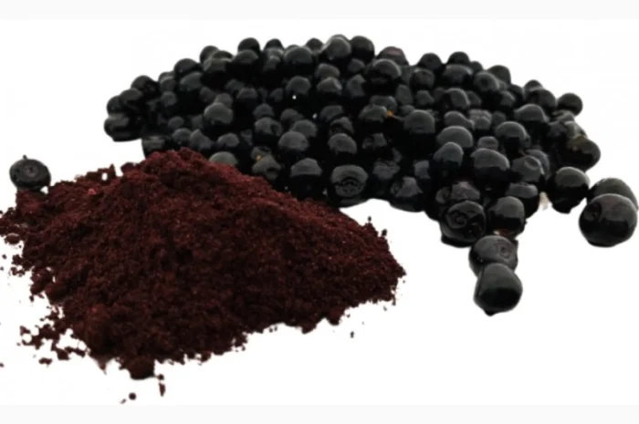 Продам порошок з чорниці- фото № 1