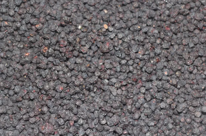 Чорниця сушена- фото № 1