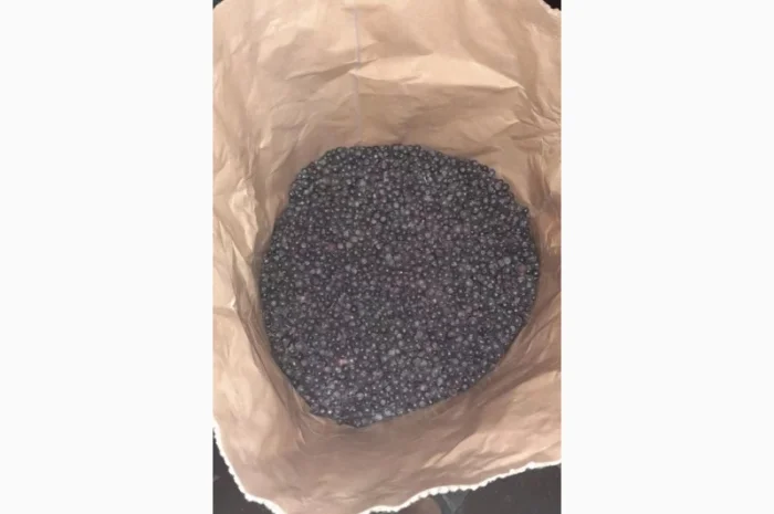 Продам заморожену чорницю від 5 т- фото № 1