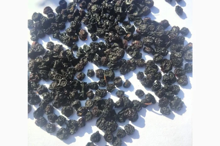 Чорниця сушена | Черника сушеная- фото № 1