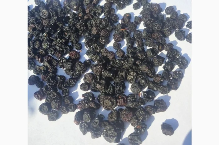 Чорниця сушена | Черника сушеная- фото № 2
