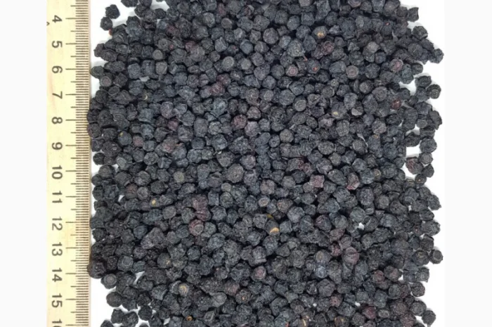 Продам чорницю- фото № 1