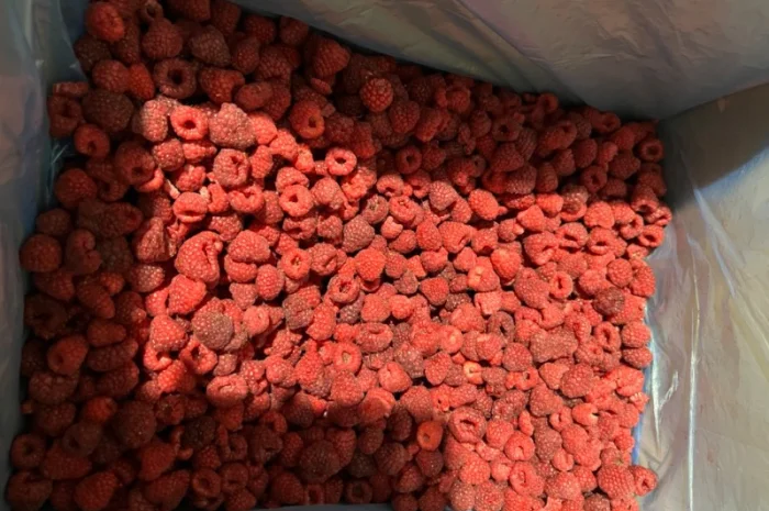 Продам чорницю заморожену у великих обʼємах- фото № 6