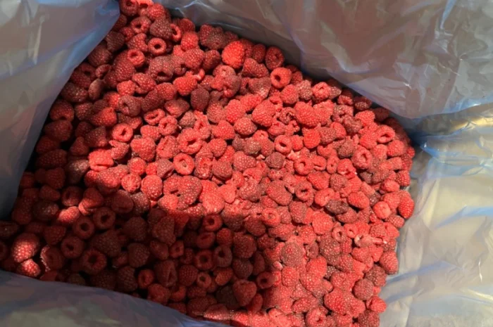 Продам чорницю заморожену у великих обʼємах- фото № 7