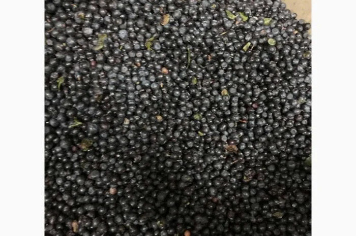 Чорниця- фото № 2