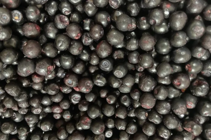 Чорниця заморожена 2024 року- фото № 1