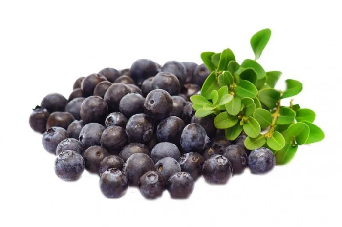 Куплю чорницю на заморозку оптом- фото № 1