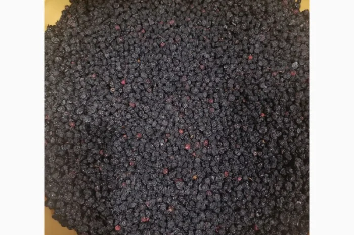 Продам сушену чорницю ( зібрану у липні 2024р.)- фото № 2