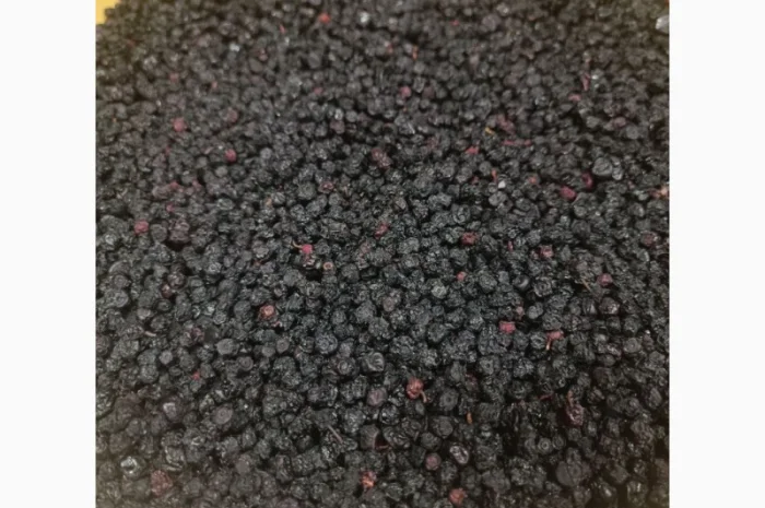 Продам сушену чорницю ( зібрану у липні 2024р.)- фото № 3