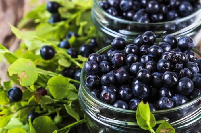 Закупка чорниці на заморозку оптом від 5 тонн- фото № 1