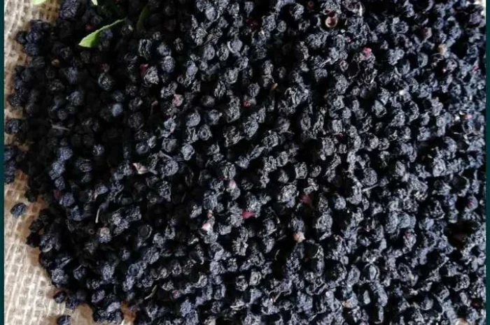 Сушена чорниця- фото № 1