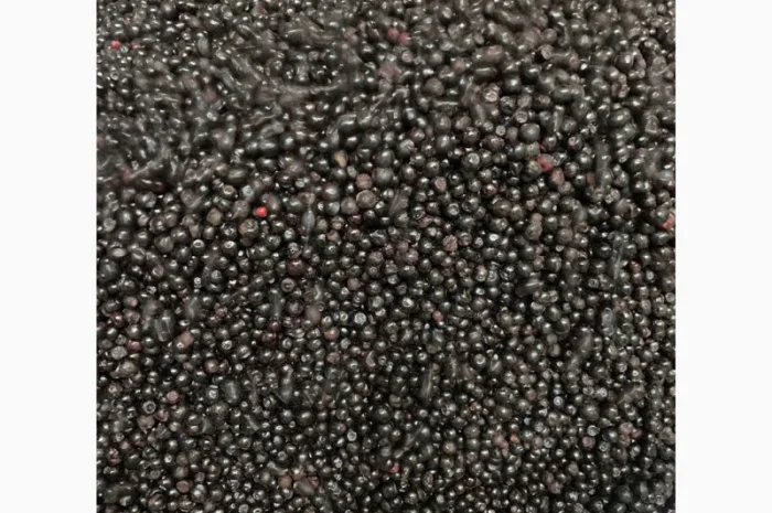 Продам чорницю- фото № 1