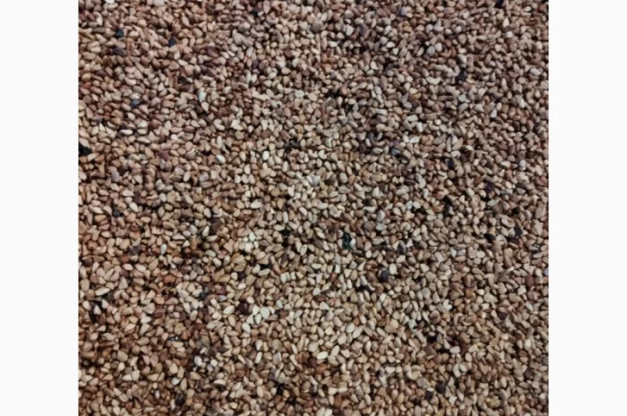 Продам косточку шиповника, Днепр- фото № 1