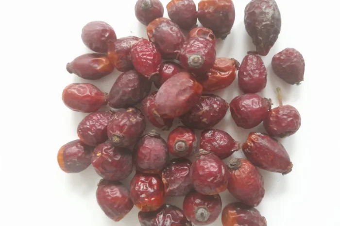 Шипшина сушена- фото № 1