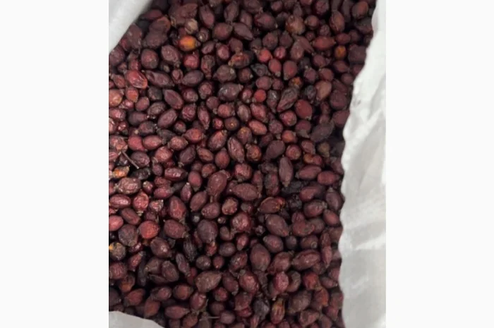 Продам сухі ягоди шипшини- фото № 1