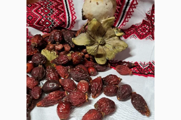 Продам шипшину відмінної якості, з сушарки, врожаю 2024року- фото № 1