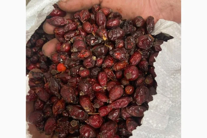 Продам шипшину суху- фото № 2