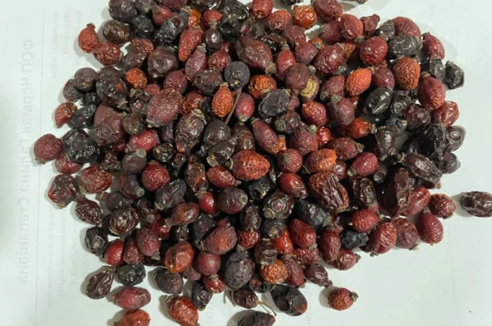 Продам плоди сушеної шипшини- фото № 1