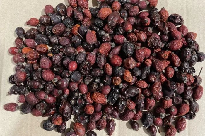 Продам плоди сушеної шипшини- фото № 2