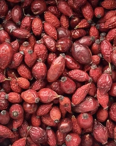 Шипшина- фото № 1