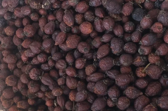 Шипшина- фото № 2