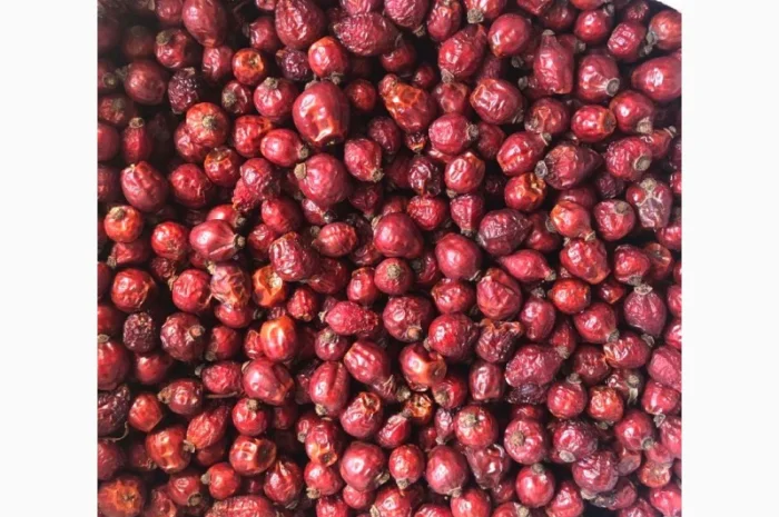 Продам шипшину- фото № 1