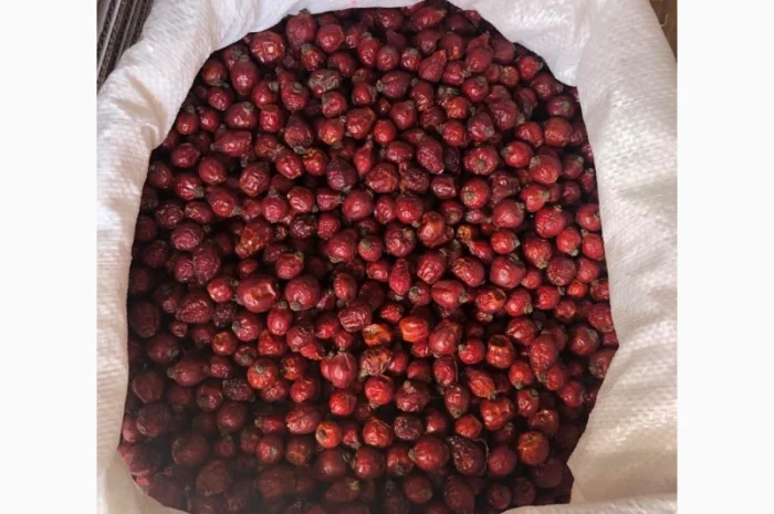 Продам шипшину- фото № 2