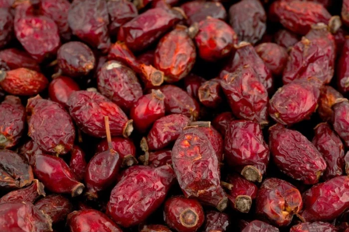 Закупаем свежие Плоды шиповника.красной рябины.Бузины.боярышника.хорошая цена- фото № 1