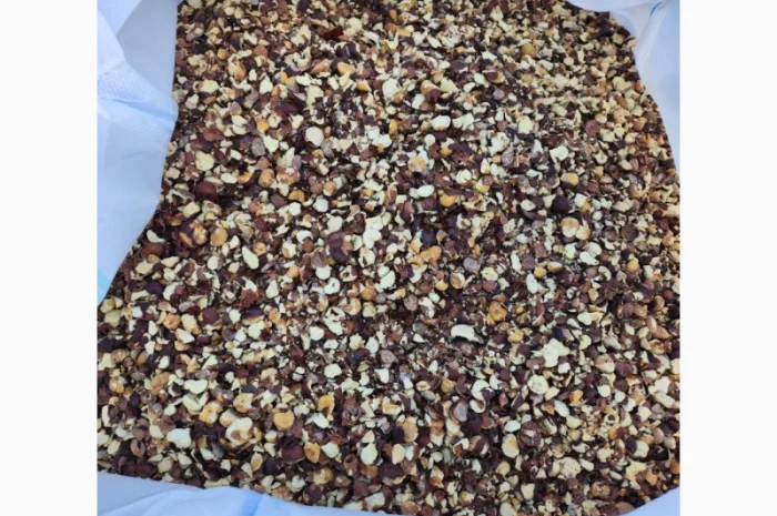 Продам каштан сухой, крупным оптом! Урожай 2024г партии 22 тонн- фото № 2