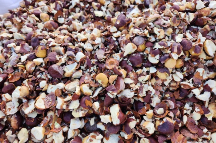 Продам каштан сухой, крупным оптом! Урожай 2024г партии 22 тонн- фото № 1