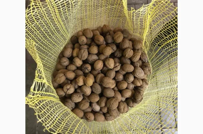 Продам ядро грецкого ореха оптом от 1т- фото № 2