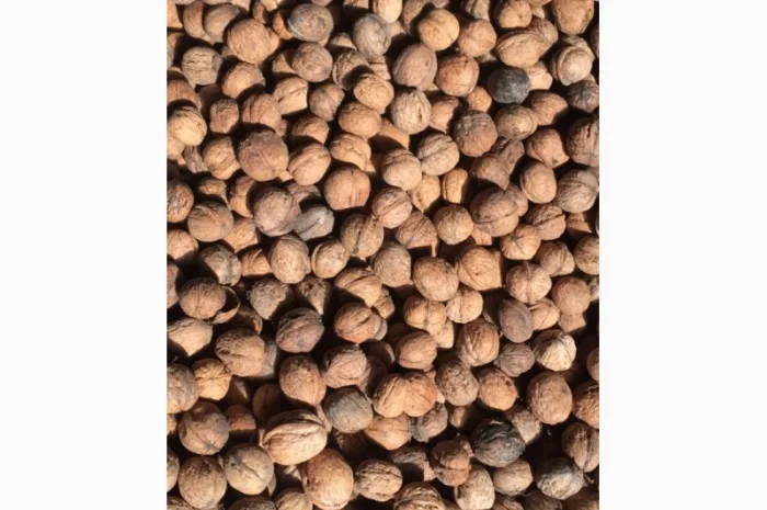 Купую грецький горіх 2024/2025- фото № 1