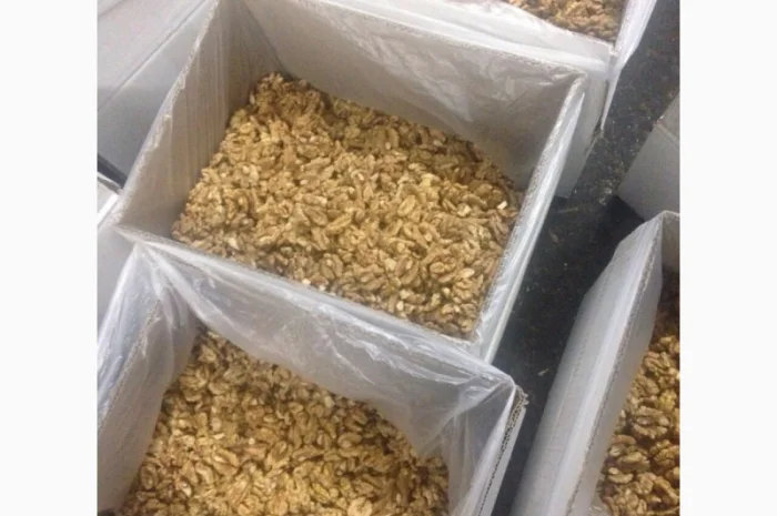 Продам грецкий орех бабочка и микс от поставщика 5 тонн- фото № 1