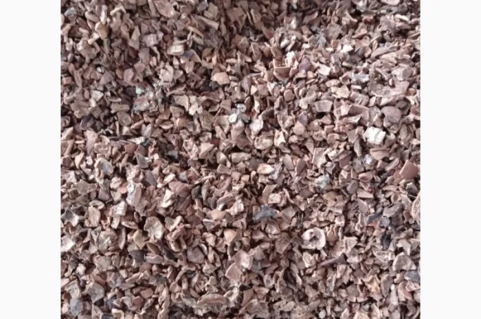 Покупаем скорлупу грецкого ореха- фото № 1