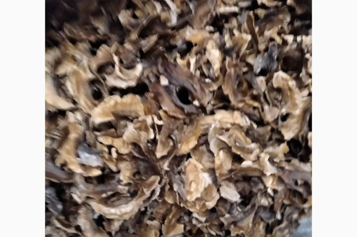 Перетинки-перегородки-перепонки грецького горіха- фото № 1