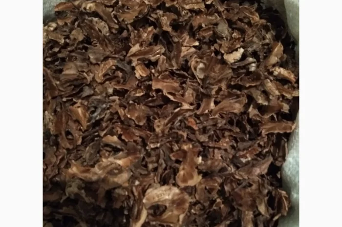 Перетинки-перегородки-перепонки грецького горіха- фото № 2