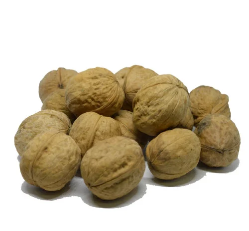 Продам цілий волоський горіх опт 2024- фото № 1