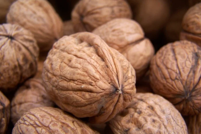 Продам Грецкий орех, 1.5 тон- фото № 1