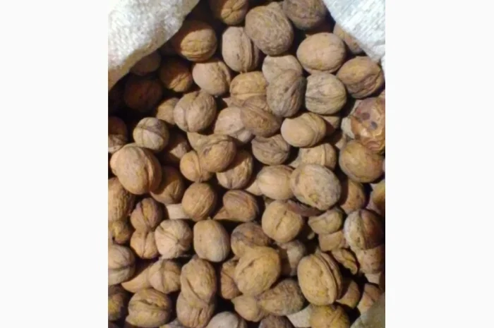 Куплю орех- фото № 1