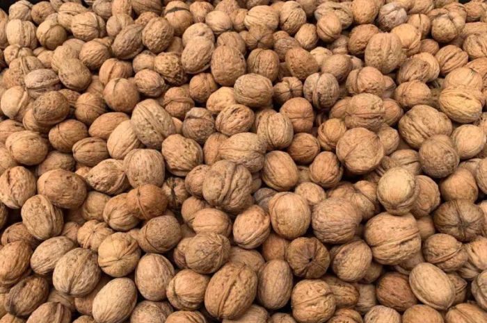 Продам волоський горіх оптом- фото № 1