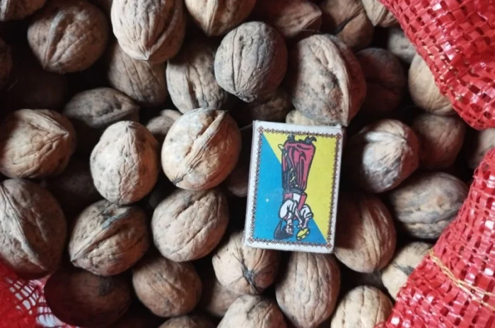 Продам горіхи волоські- фото № 1